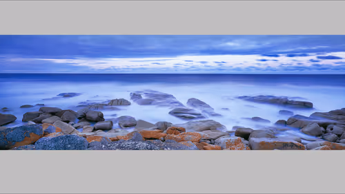 Untitled Collection #82755046