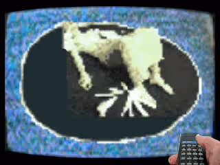 Item #36049036210915542891603514203013099125599246175484305955535372045556947877889 Media