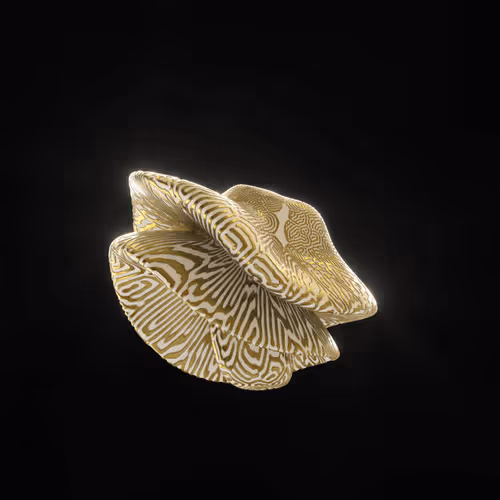 Item #83535453821146316306178013320250520096293247508023240542449518891342636253185 Media