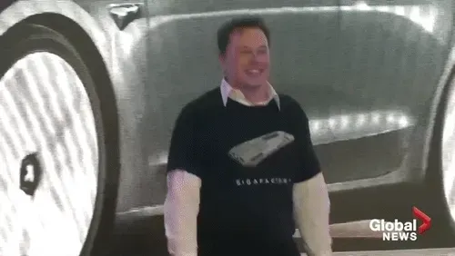 Item #36327999619503733666753466472136488005736938671622663307340290193632786382849 Media