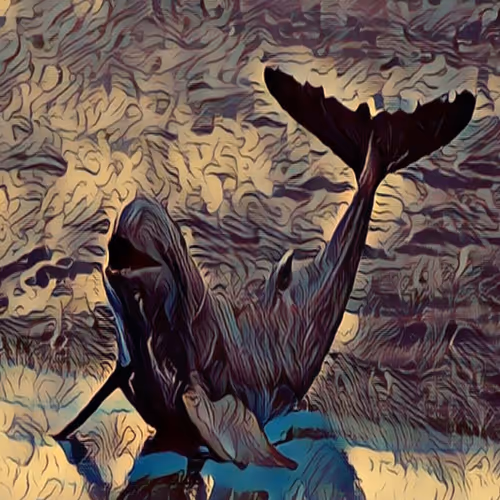 Item #50533192108599939293967127889299662602908893297659253807051018363413049901057 Media