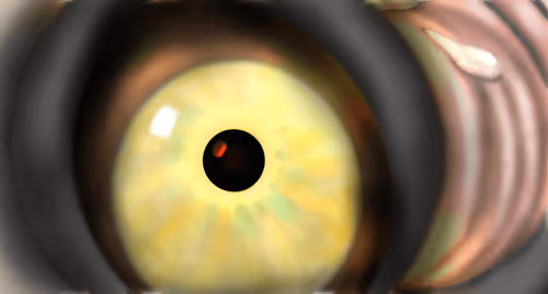 Item #20218994840825374785300390252407857383155182276225694155165314438146125987841 Media