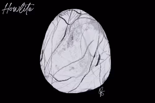 Item #85141354714833614509806319782789039138473253974235521479469238667053365198849 Media