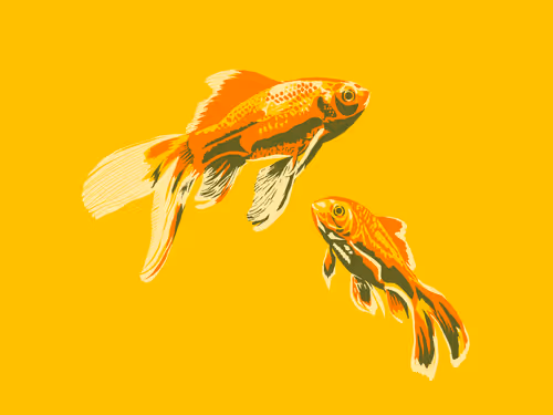 Item #86286569011672249143581902672238150923937334210812916089856769926168756355073 Media