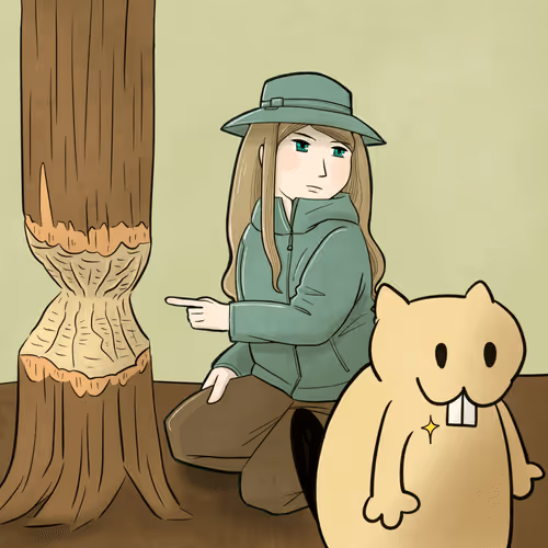 Item #115245227540704366339425879457819772471996671060425446619535555223836529000450 Media