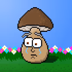 33741781216748986518517832568595493503429706584982134247768926294384769499137