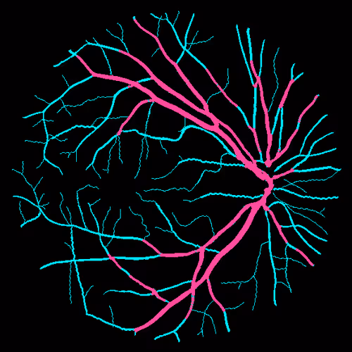 Item #7078802064077755305879053961196844759257248211509687953083586121095320698881 Media