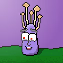 33741781216748986518517832568595493503429706584982134247768926188831653232641