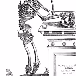 De Humani Corporis #2