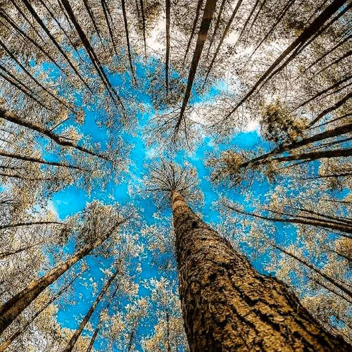 Untitled Collection #75836368