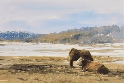 Item #35569391321720494040210382396781868888236887891066575875774015548609664122881 Media