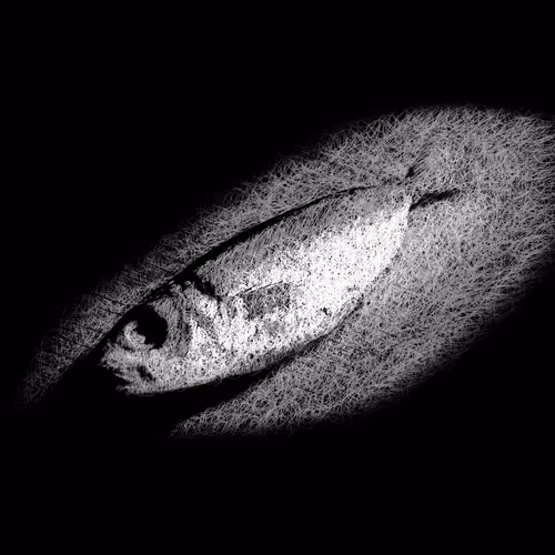 Item #20286817641922993541065929101952433978531825078991625494647867525028147888129 Media