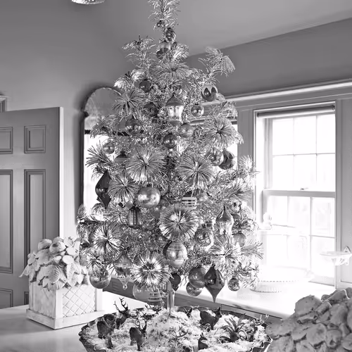 15081463501546268006596121588316872326209313817998412847676537145715224215553