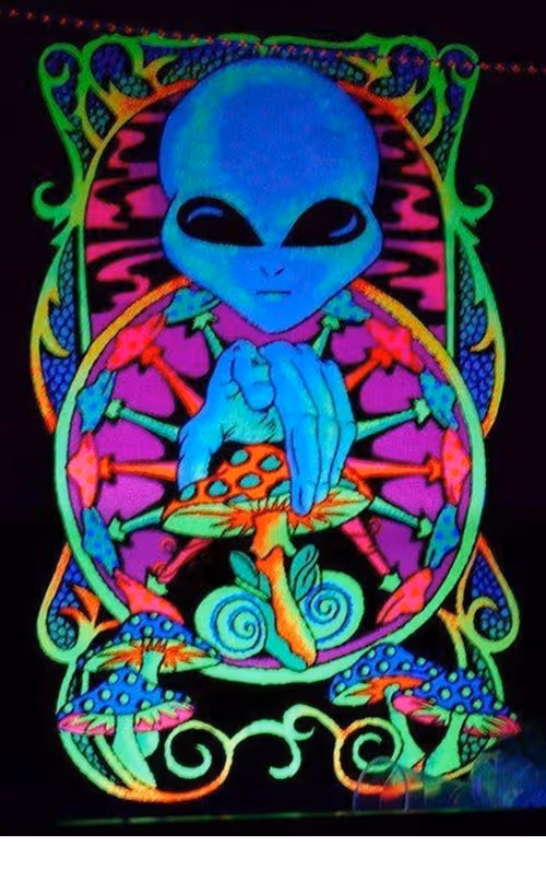 Item #81263399984616529037860381855326718868677639021773965915459414260257902297188 Media