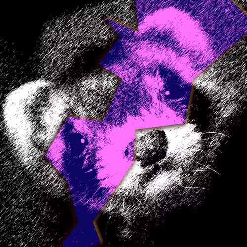 Item #60839276870702459536115980663435026977207856631347422568339333147117383319553 Media