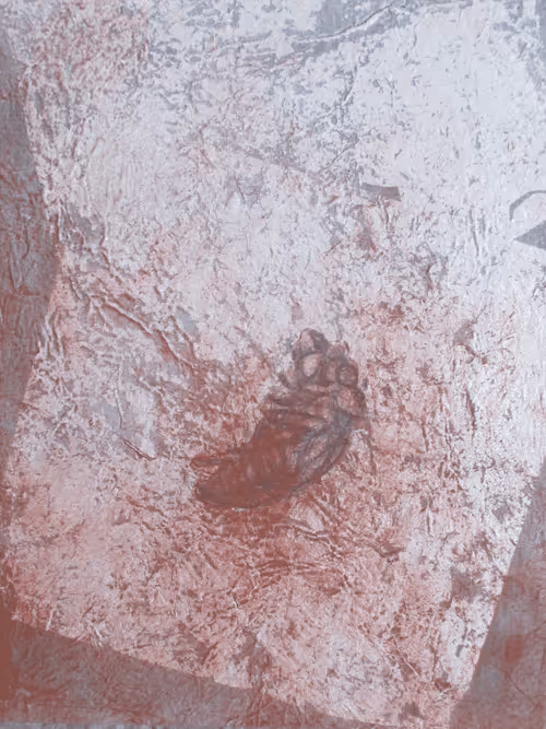 Item #72925079646173943955019179802066495558357068765344184678483369545183157813258 Media