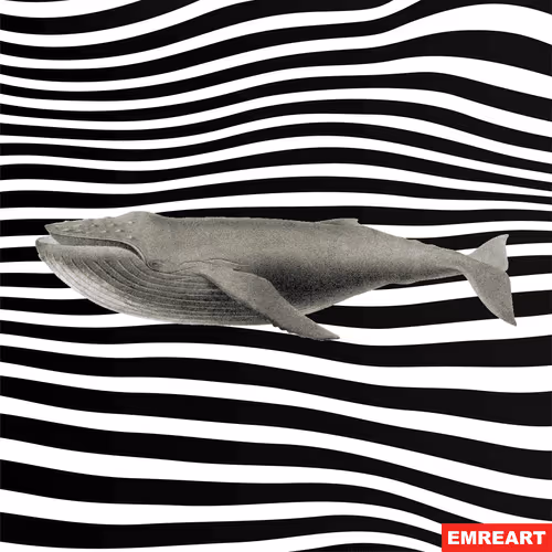 Untitled Collection #21658220