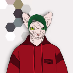 sfenks cat nft #015