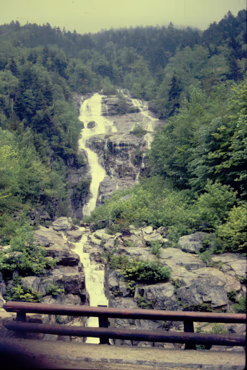 Item #113047771030127017240919341709485116586684509374101894410877815026092601245697 Media