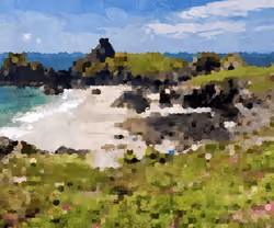 Looking at a Cornish beach