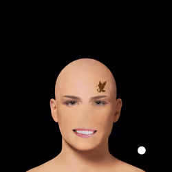 88737702653449128909489654253868271633479664914542938973620632648527439200257