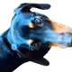 74388183107571848256633446996010033662379072698002169646249461045458295062529