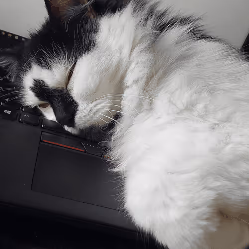 Item #13161020314009032005485822086301964352885579695205061807387255203667931824129 Media