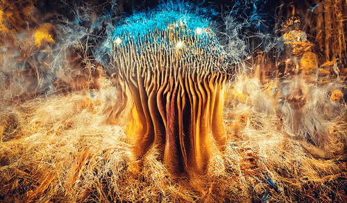 Item #22464654896057216504445552282039767353975103641821141853817919442555664072705 Media