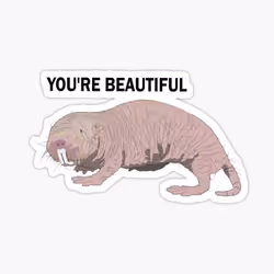 Love yourself 