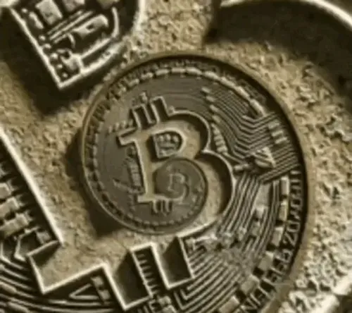 Bitinvesters Collection