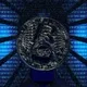 47547307638365115358100910084148609067724816525689145601576702461167953510401