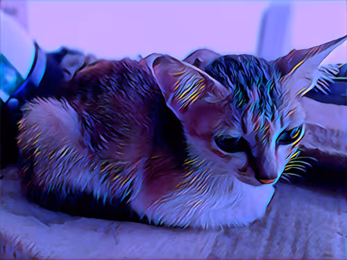 Item #74122138759525378795667626270866148487737655975912799548892275144540427386881 Media