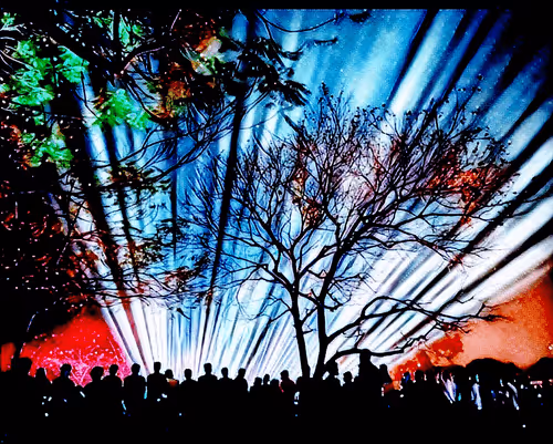 72043135029047436436389121847393984294793642499410776983983276968370851807233