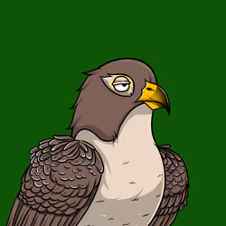 11538255180231465227692626853838225494553623514996908007785703223080448425985