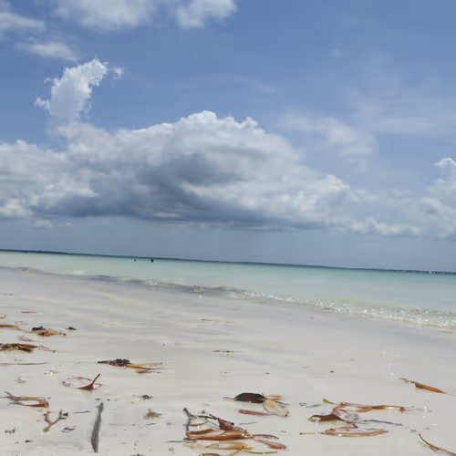 Untitled Collection #580911946