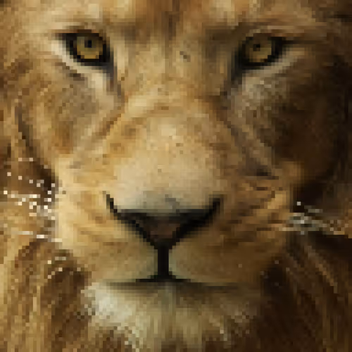 Item #40552772855221528735690230423376662721375624419530241202486605230895358017537 Media