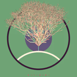 74168867016011539093366687608765447348507224284888477074887988593976783405057