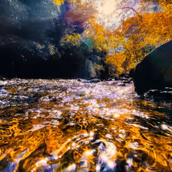 Liquid Gold