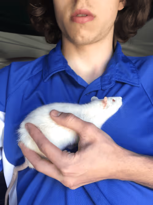 Item #43417033235923844322101399195787697126538624468799966703889562803438100676609 Media