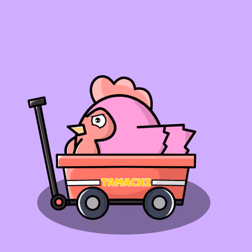 55240584583150782419737542431287223382763462269055877625221754817809091657729