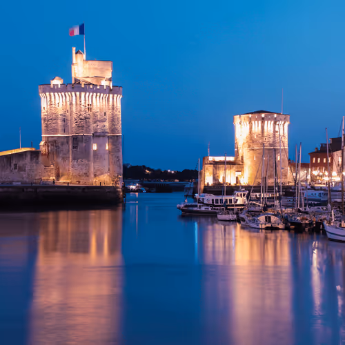 Untitled Collection #51928632