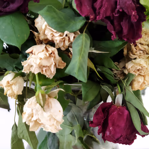 Item #87003207589931118822218281437448867168500866218263883081320957852818056675329 Media