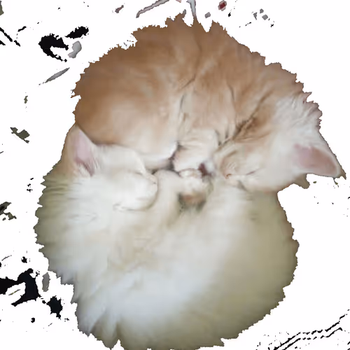 Untitled Collection #35266382