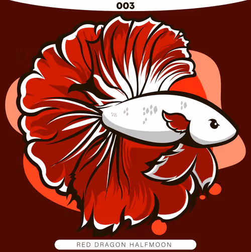 Item #71915282176282174012632358448723633474544225318645324977784202285602113060865 Media