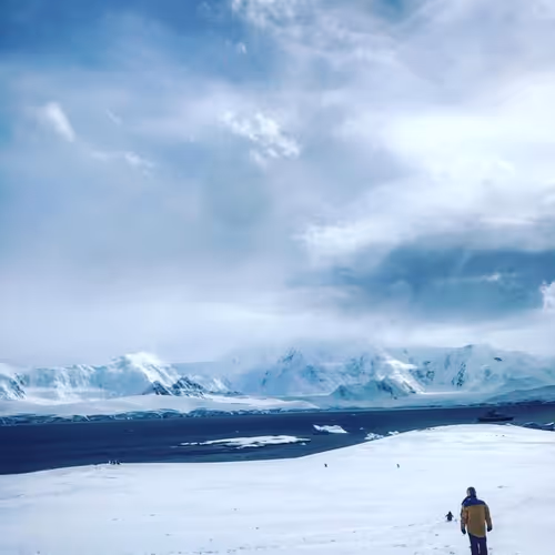 Untitled Collection #29893922