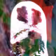 11077820935818451846702101582978582887645964781921647228574565091967835832321