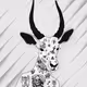 59414709421928702208565606174233135090100085150301816526619217688086781624321