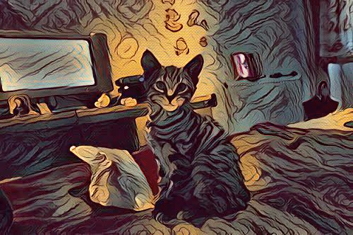 METADARKCAT #150