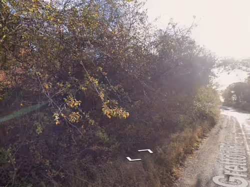 Item #21766675222774875702069380138995276219631073462771150610816622992812018761729 Media