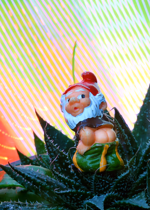 Item #74202252938390004616604948620215209941710540159636639522178368022702356168705 Media